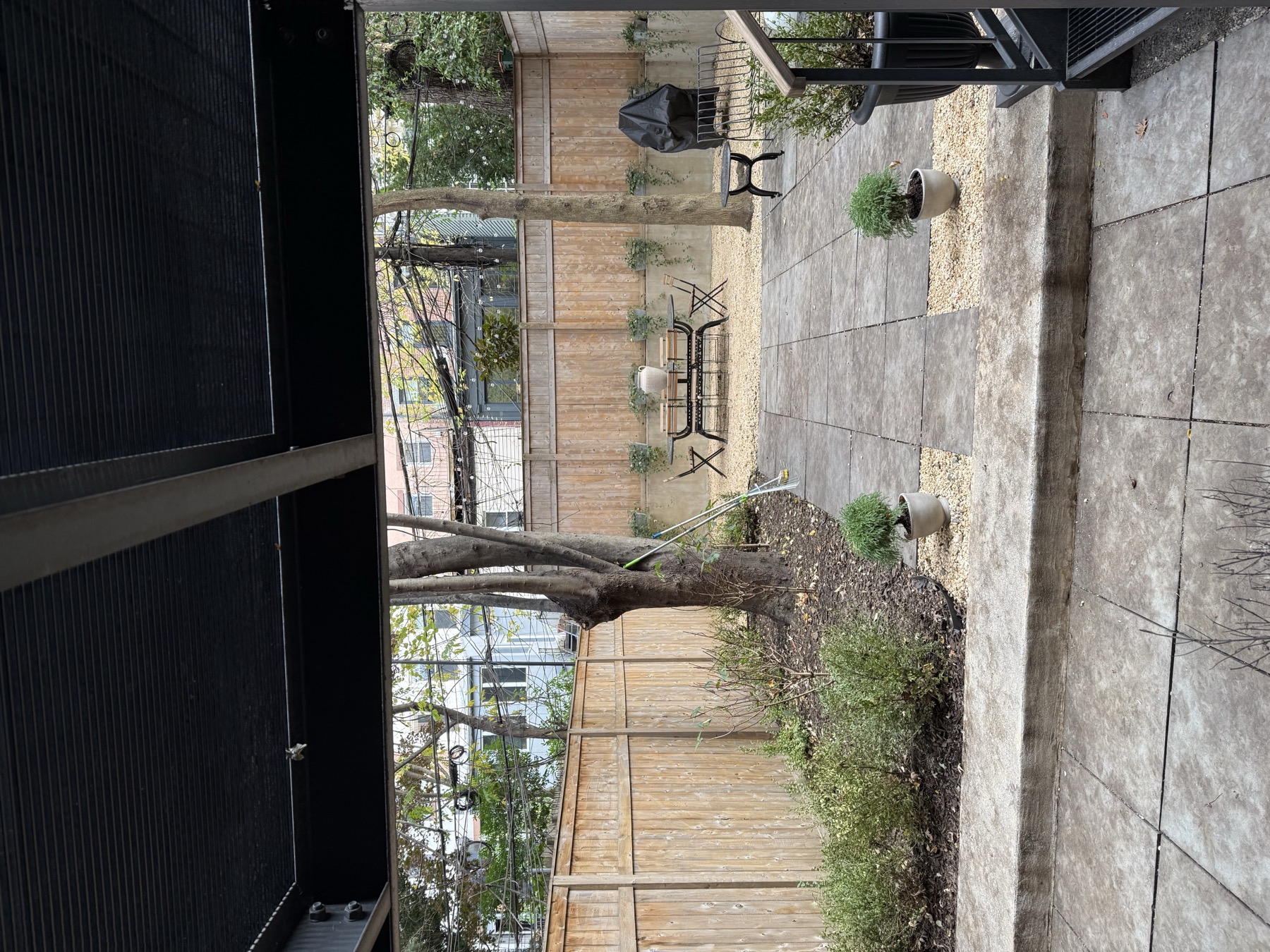 Brooklyn Heights yard after leaf removal