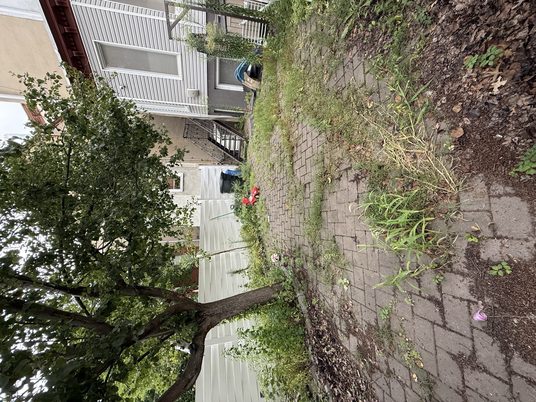 Jersey City yard before cleanup