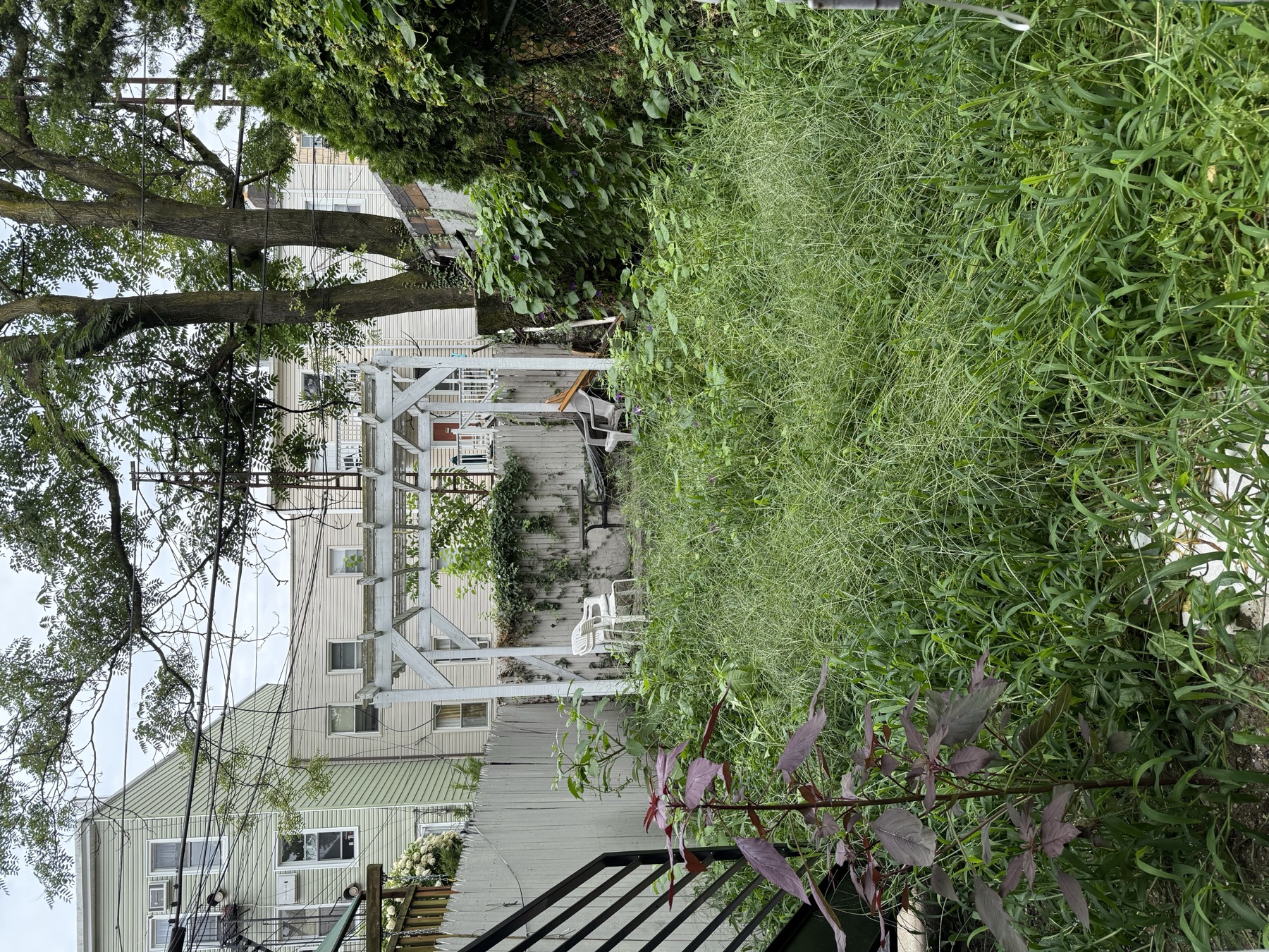Long Island City yard before cleanup